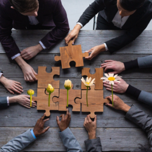 Master COUNSELING ORGANIZZATIVO- Sistemico Integrato: far fiorire persone e organizzazioni